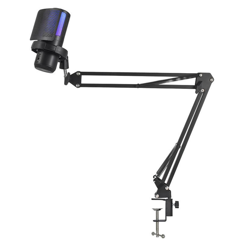 RGB USB Desktop Boom Arm Microphone for Gaming, Streaming & Recording with Mute & Monitoring Features