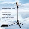 1.7m Portable Selfie Stick & Tripod with Bluetooth Remote for Live Streaming