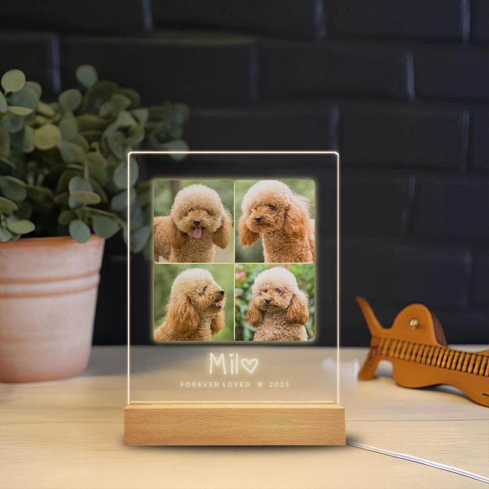 

Personalized Name Photo Frame for Dog Memorial Pet Picture Plaque A Touching Memorial Gift for Those Who Lost a Beloved Dog 3 colors base