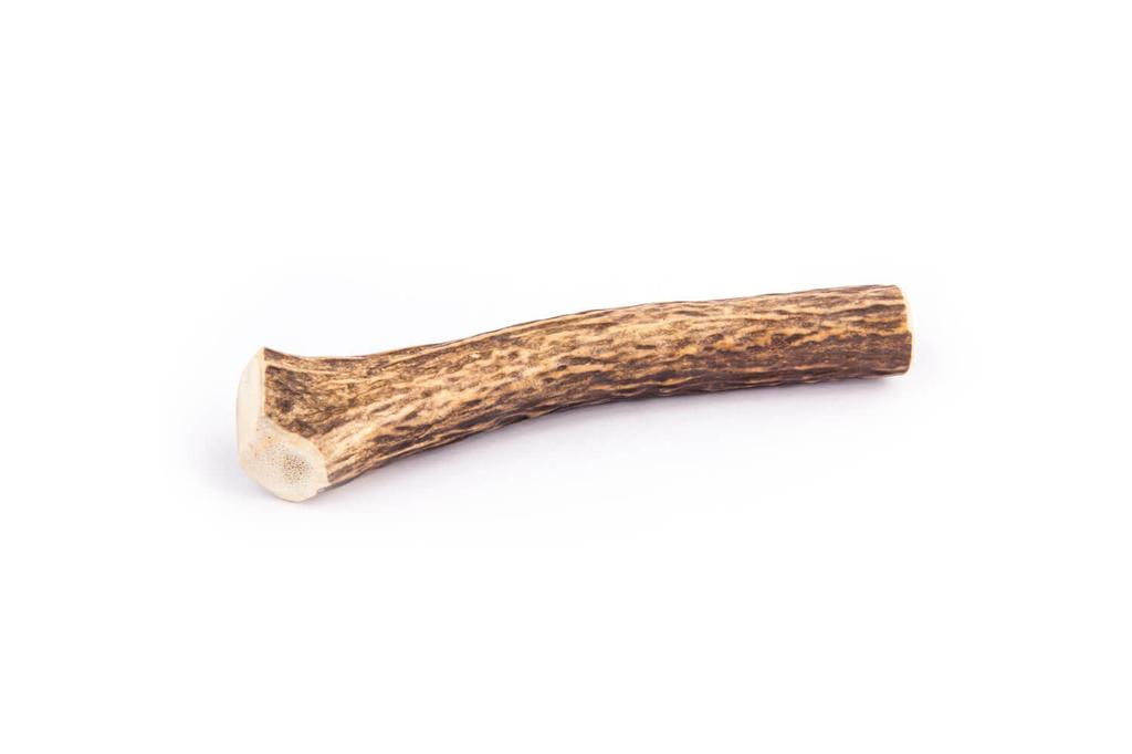 Deer antler chew toy R-Line 4DOGS size XL hard