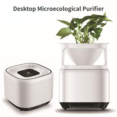 Household Air Purifier Small Space Sterilization Formaldehyde Removal  Device Desktop Microecological Air Purifier New