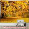 2D Flat Design 1 Piece Autumn Maple Tree. Background Fabric for Living Room and Bedroom. Decorative for the Garden.