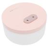 Dual Spray Air Humidifier USB Charging Mini Innovative Mute Mist Diffuser for Home 1000ml