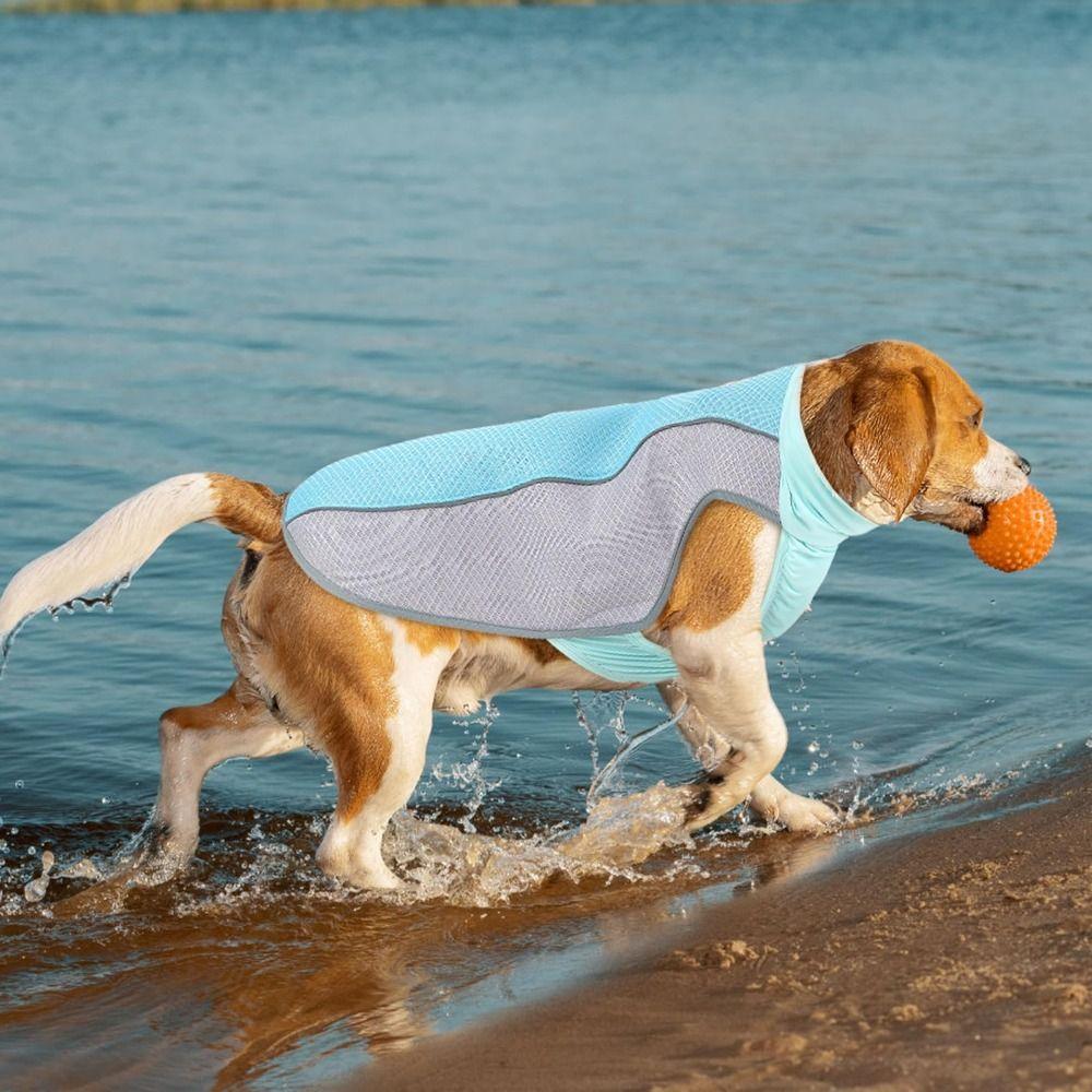 Adjustable Dog Cooling Vest Lightweight Puppy Clothes High Quality Pet Cooler Suit  Summer