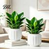 Living Room Plant Pot Self Watering Pots for Indoor Plants, Plastic Planter with Drainage Modern Home Decor Holes, Small Flower Houseplants,