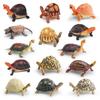 Modèle de Tortue Simulation Figurine de Tortue Réaliste Animal Miniature Jouet Éducatif Ornement de Décoration de Bureau à Domicile