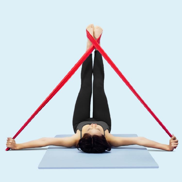 Resistance Band, Stretching Exercise Band for Physical Therapies Strength Training, Yoga Pilates Elastic Stretch Band