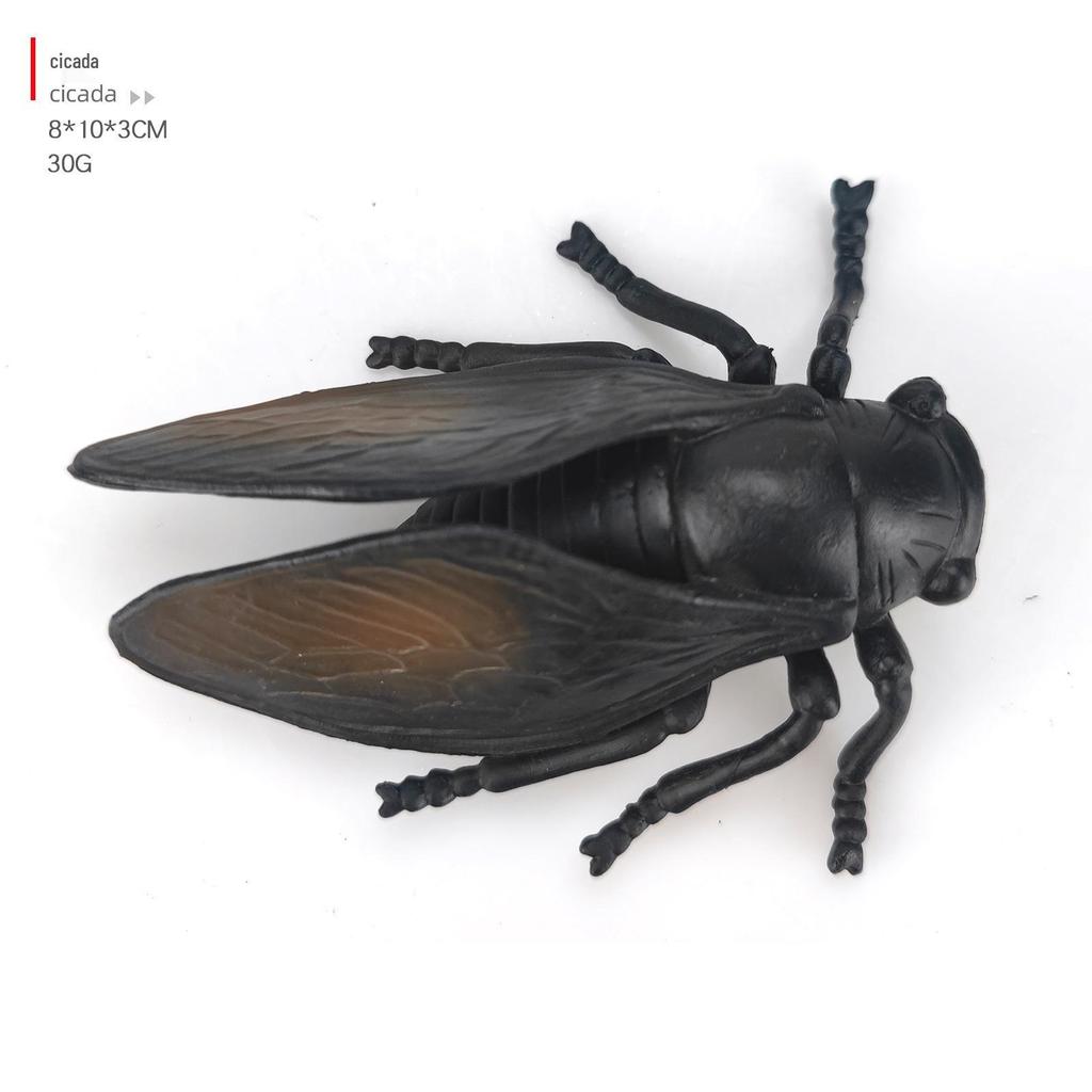 Children's Cognitive Teaching Toys: Insect Models - Butterfly, Ladybug, Rhinoceros Beetle, Bee, Grasshopper