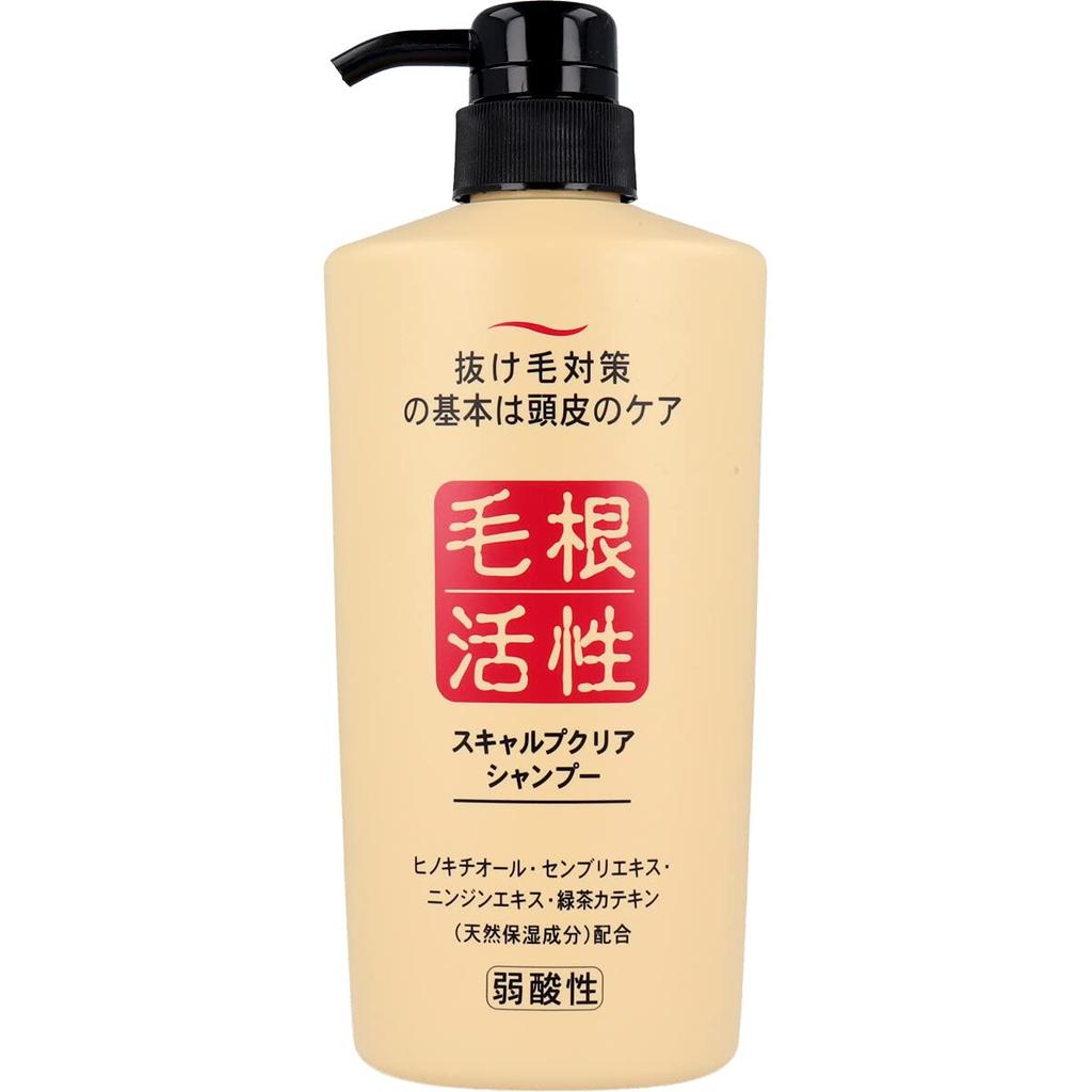 Hair Loss Prevention Scalp Clear 550mL x Hair Root Stimulator Shampoo, Shampoo, 3,