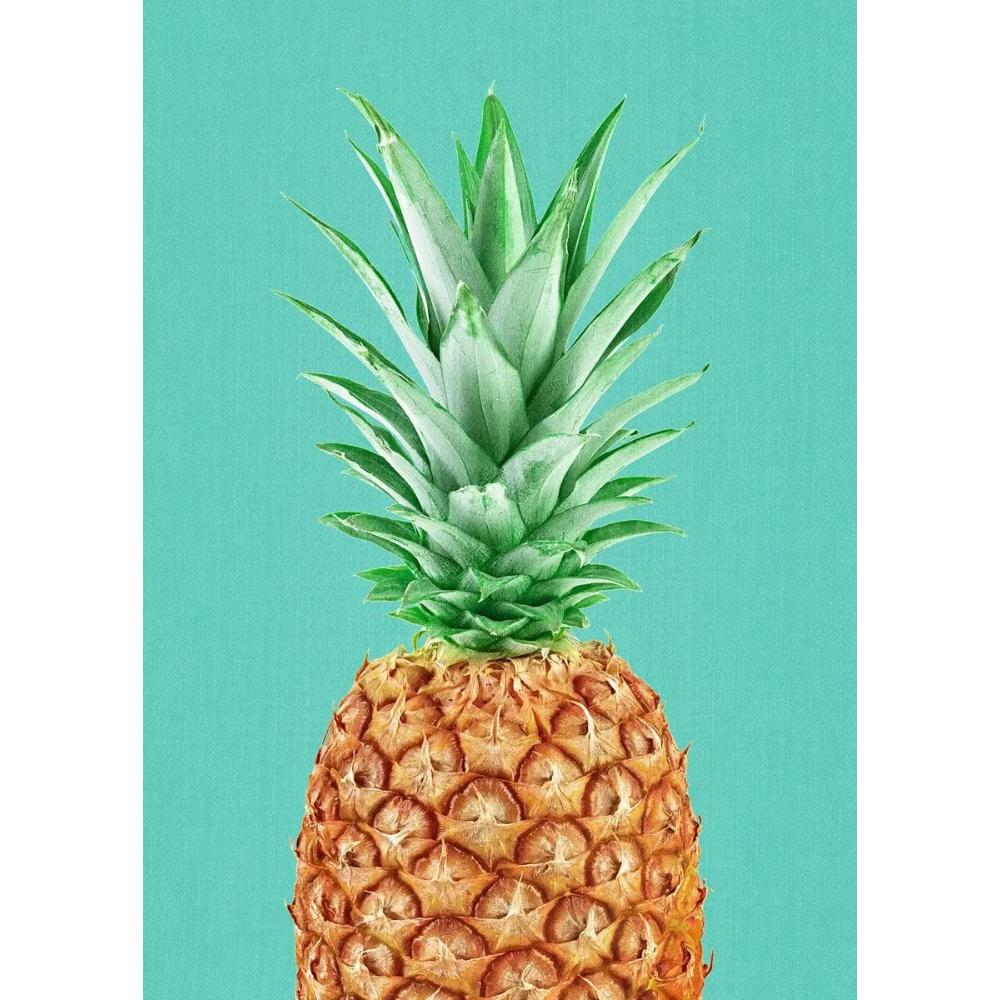 Tropical Plants Poster and Print Toucan Bird Flamingo Parrot Pineapple Canvas Painting Nordic Wall Art Picture Home Decor Cuadro