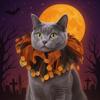Adjustable Halloween Cat Costume Pumpkin Pet Halloween Supplies Cat Collar Hat Set  Halloween Party