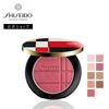 SHISEIDO Color + Glow Enhancer Wangen Lidschatten Augen Gesichtspuder Glanz Dimension