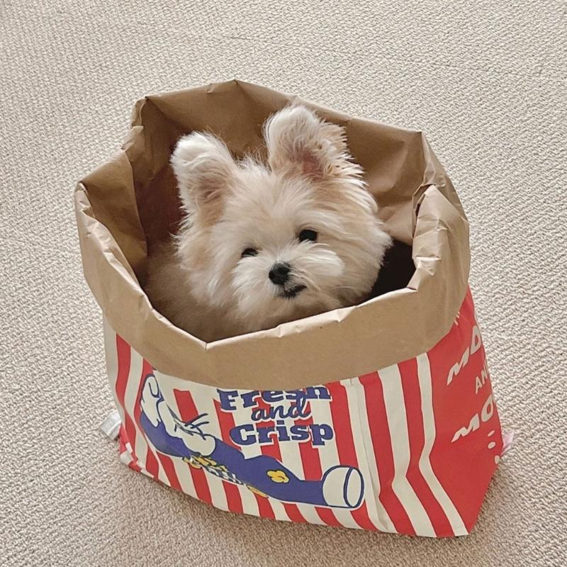 PopcornBag Cat Tent Toy PlayTunnel Tent House Dogs Kraft Paper Bag Hideaway Tunner Boredom Pet Indoor Entertainment Toy