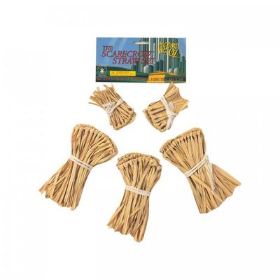 Zauberer von Oz Vogelscheuche Kostüm Zubehör Set