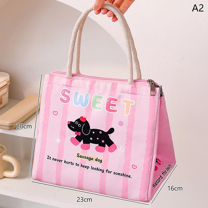 Lunch Bag For Picnic Portable Large Capacity Lunch Bag Collapsible Thermal Breakfast Organizer Portable Insulated Storage Bag