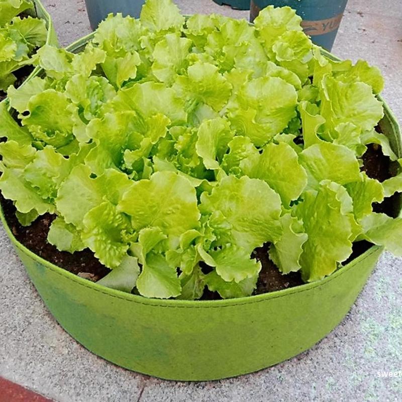 Circular Large Felt Fabric Garden Grow Bags Planting Pot Outdoor Yard Garden Vegetable Field Bed Garden Nursery Bag Planters