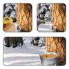 Stainless Steel Maple Tree Hardware Kit with Hook Accessories,Sap Collection Tool,Manual Prepare for Syrup Making Tasks