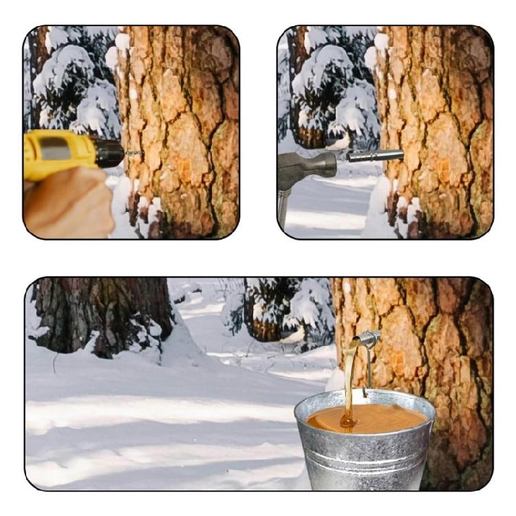 Stainless Steel Maple Tree Hardware Kit with Hook Accessories,Sap Collection Tool,Manual Prepare for Syrup Making Tasks