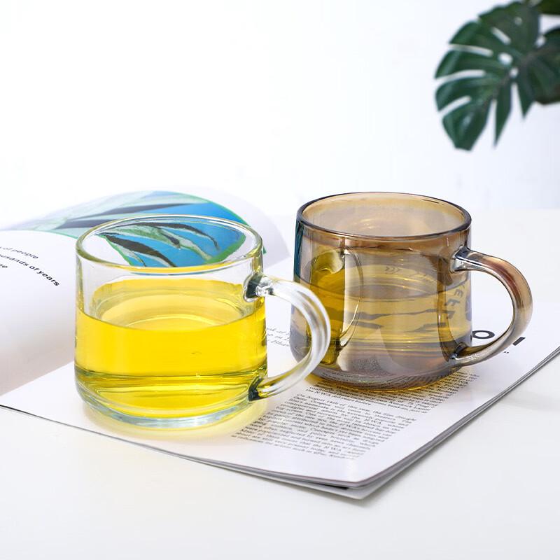CAOX Double-Walled Glass Tea and Milk Cup with Lid