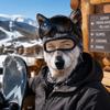 Passamontagna Animale 3D Husky Copertura Integrale del Viso Maschera 3D Carina per Esterno