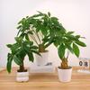 Artificial Money Plant Artificial Money Tree Potted Plant Realistic Simulation Money Tree for Indoor Decoration