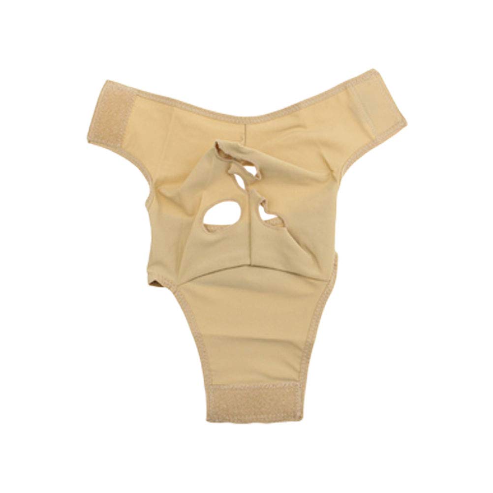 Love Live Sunshine Оригинальная иллюстрация: Ханамару Куникида 3-й сольный концерт Вер. Очень большая акриловая подставка