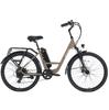 SPATIAL Elite Dames Multi-Terrain Elektrische Fiets Met Kinderzitje 250W Motor 36V13AH Batterij 26 Inch Wegbanden Elektrische Fiets Buiten Rijden E-Bike
