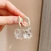 Fashion Irregular Transparent Earrings for Women Temperament Stud Earrings Drop Earrings Party Jewelry Gifts