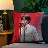 New HHan JJisung Boy Korean Pillow Case Antidustmite Pillowcase Invisible Zipper Silky Short Plush Sofa Cushion Cover