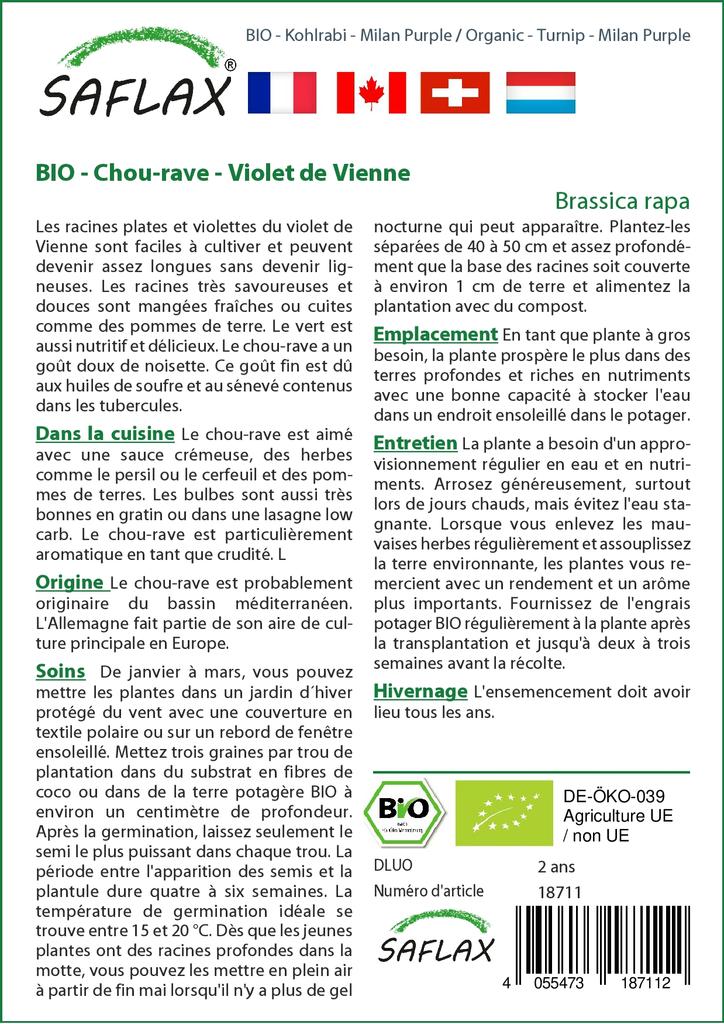 SAFLAX Organic - Turnip - Milan Purple - 600 Seeds - With Potting Substrate for Better Cultivation - Brassica Rapa