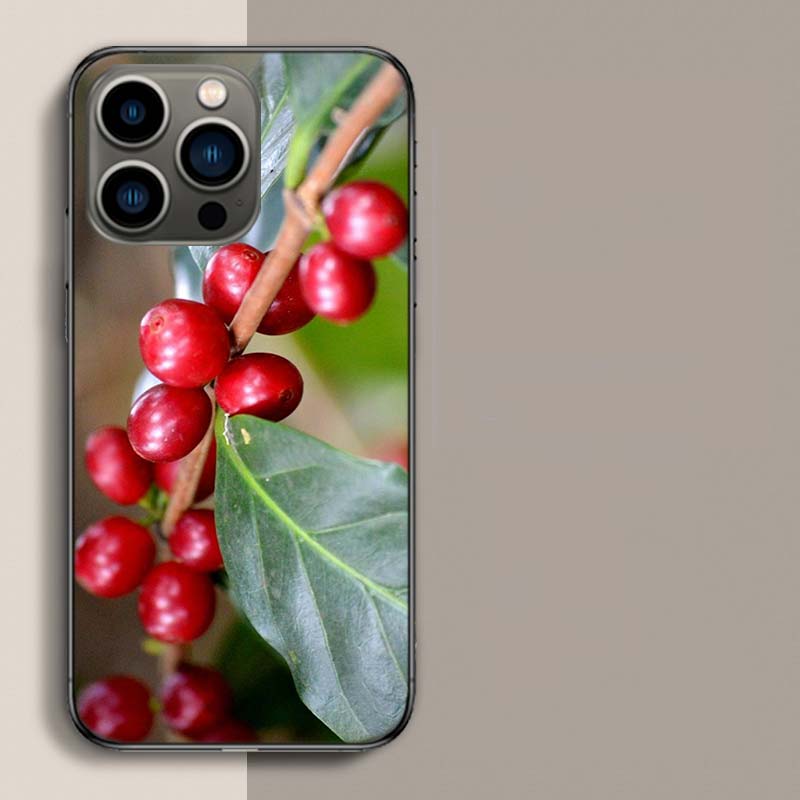 

Coffee Bean Tree Phone Case For Iphone 17 Air 15 Pro 14 Plus 16 Pro Max 17E 16E 12 13 Mini 11 Cover Cute Fundas iPhone 16 Pro Max