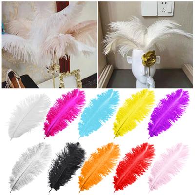 10Pcs Natural Ostrich Feathers Dream Catcher Centerpieces Crafts DIY Projects Home Office Wedding Party Decorations Colorful Real Feather Set