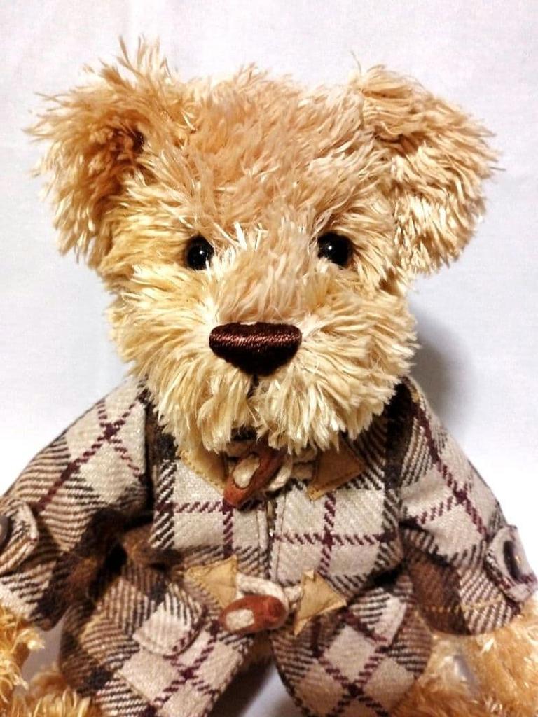 [USED] Color Rich Teddy Bear Plush Checkered Coat Vintage
