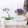 1PC 5-Inch breathable and leak-proof orchid pot, 1-piece set, African violet flower pot with hollow trim, PP resin white orchid container with tray