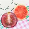Cute Strawberry Bookmarks Creative Fruit Slice Acrylic Transparent Page Markers Ins Style Fruits Reading Mark Reading Accessory