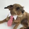 Cross-Border Foreign Trade Amazon Pet Cat Tie British Gentleman Wedding Bow Tie Accessories Cute Red Black