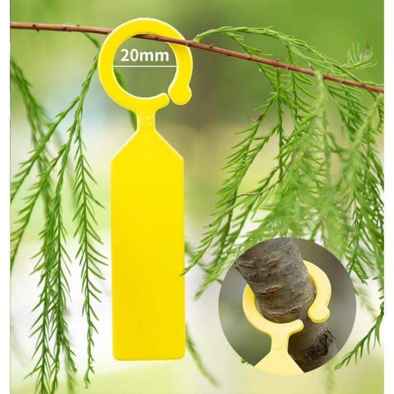 100Pcs Greenhouse Bonsai Collar Signs Ring Label Hook Tree Marker Nursery Stake Plastic Garden Hanging Plant Tags