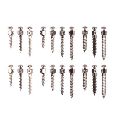 Dental Orthodontic Mini Implant Micro Titanium Screw Self Drilling Tool for Dentistry Anchor Nail