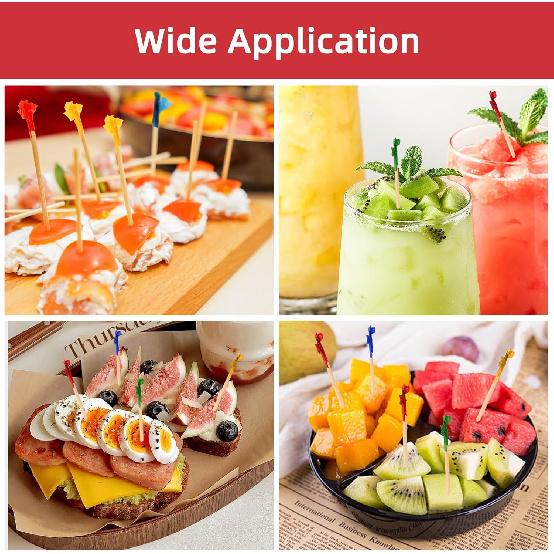 1600Pcs Toothpicks for Appetizers, 2.5 Inch Cocktail Picks with Assorted Colors, Wooden Food Toothpicks for Appetizers Cocktail Fruit Club Sandwiches