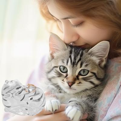 Large Cats Furs Keepsakes Storage Box Elegant Memorial Pendant For Pet Hair Storage Collector And Display Case Charm