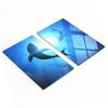 Multifunctional Decorative Glass Boards with Print Two Sharks 2X30X52 Cm