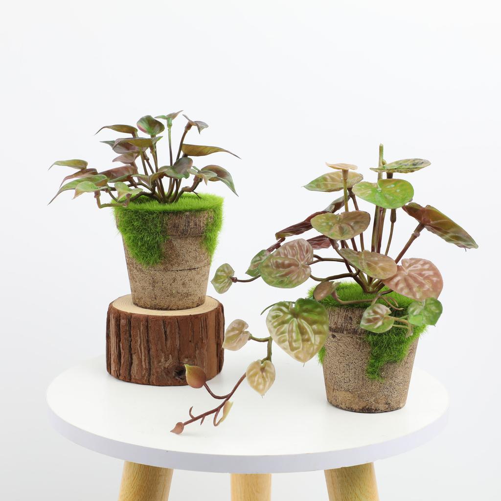 Exquisite Plastic Bonsai Set For Home And Photography Props Eucalyptus Banana Leaf Turtle Back Daisy Hibiscus