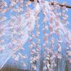 70.8" Artificial Cherry Blossom Garland for Spring Decoration Faux Silk Flower Hanging Vines for Home Wedding Arch Party Office Garden Decor
