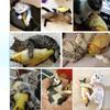 Catnip Fish Teasing Cat Toy Teeth Grinding Kitten Self Fun Relief Doll Puppetry Supplies