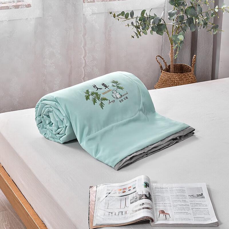 Huangqin Shijia Mugwort Mosquito Repellent Summer Quilt