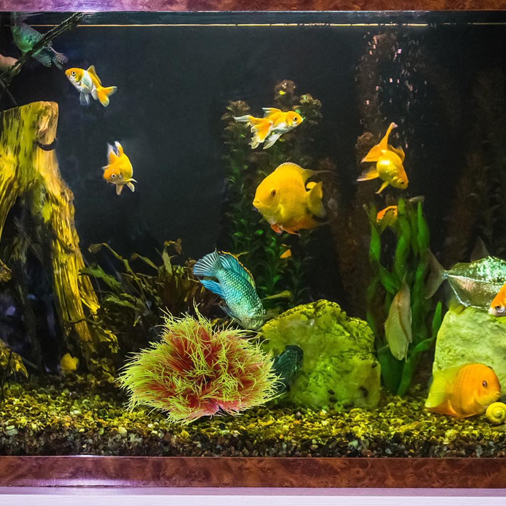 Fake Aquatic Plant Decor For Fish Tank Realistic Aquarium Plants Water-Resistant Durable Artificial Water Grass Decorations