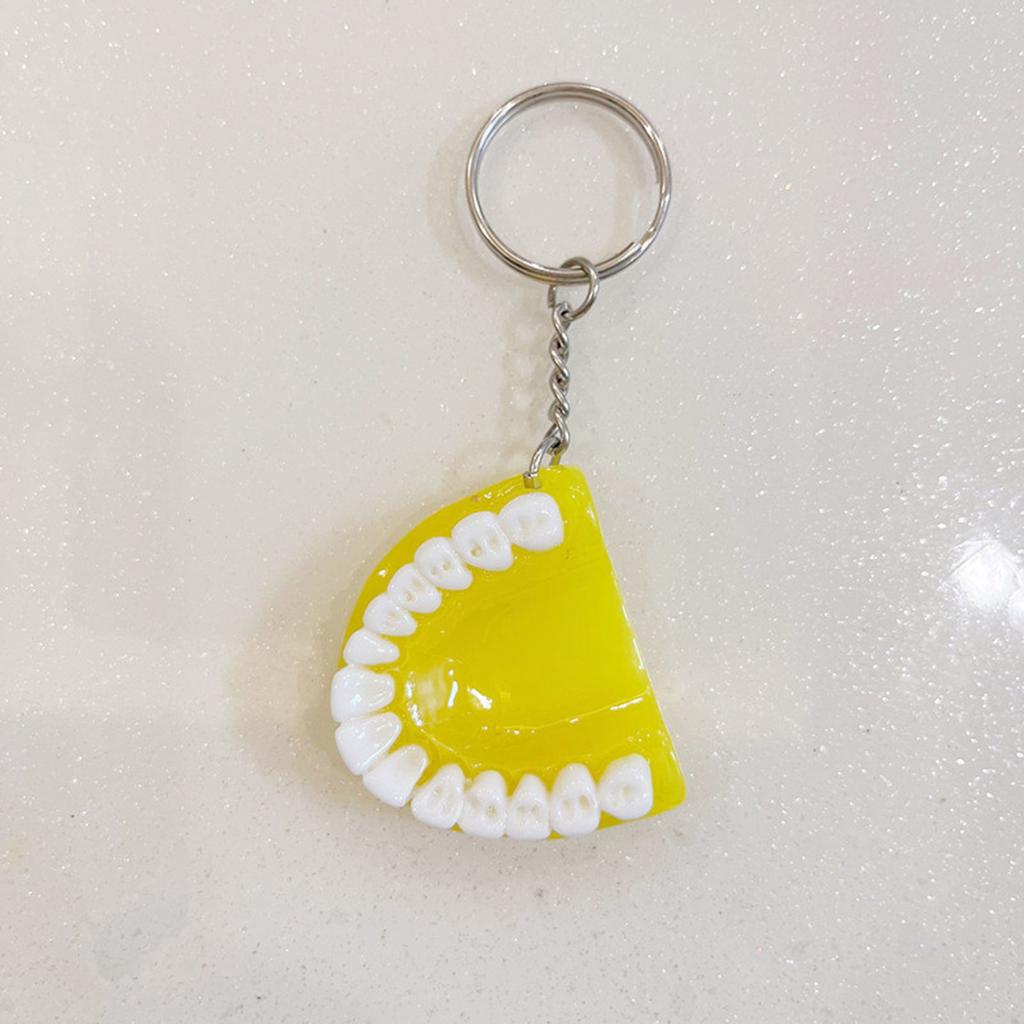 Resin Tooth Model Shape Keychain Purse Handbags Charm Pendant Denture Keychain