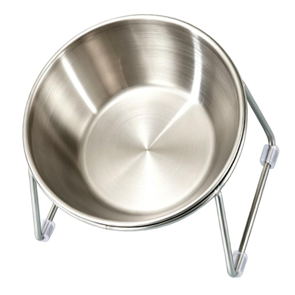 Elevated Cat Bowl 304 Stainless Steel 15 Degree Tilted Anti Slip Raised Dog Dish with Stand Anti Vomiting Neck Protection
