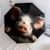 Ferkelmuster, automatischer Regenschirm, tragbares und faltbares Design, 8 Rippen, ein Weihnachts- oder Geburtstagsgeschenk.