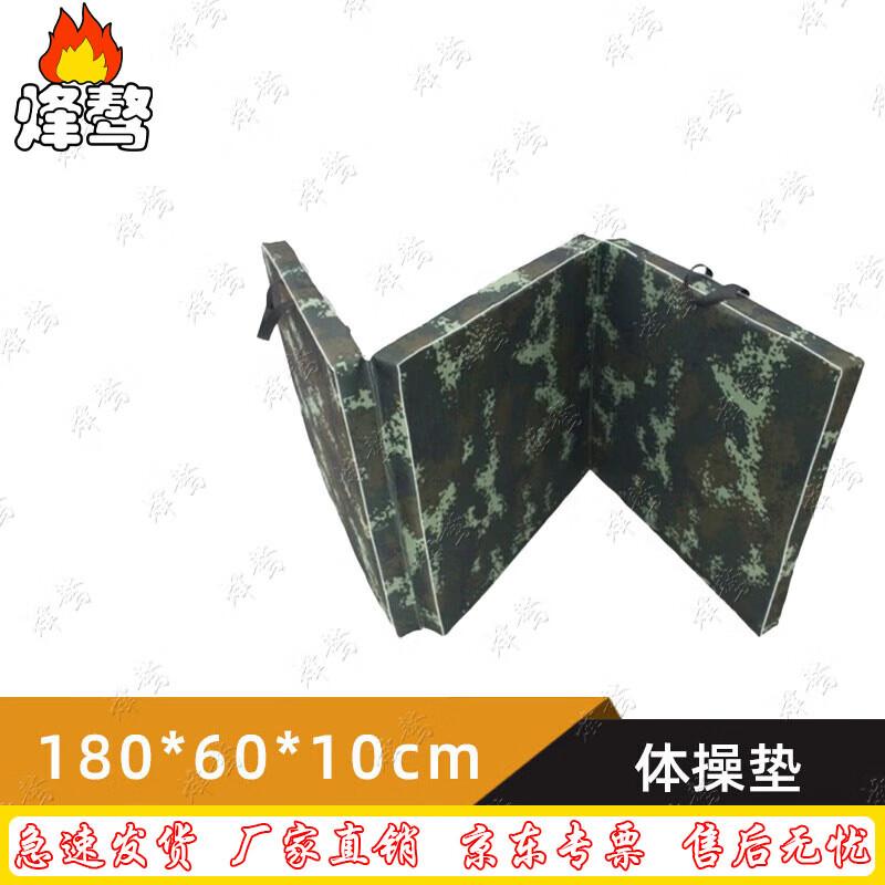 Foldable Multi-purpose Training Mat